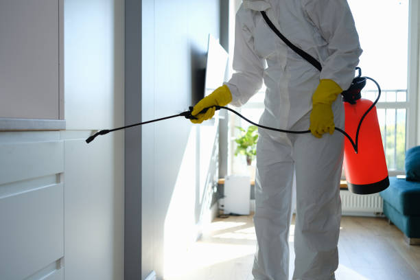 Best Crawl Space Mold Removal  in Hartwell, GA